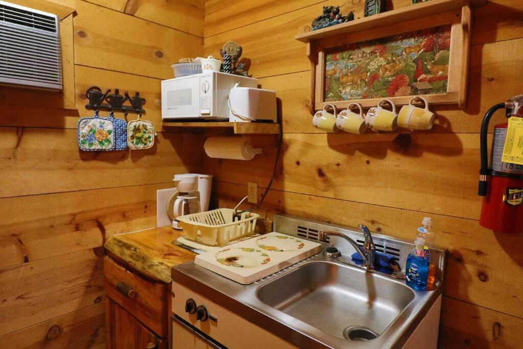 Cute Updated Mountain Cabin Fireplace #3 Хелен Экстерьер фото
