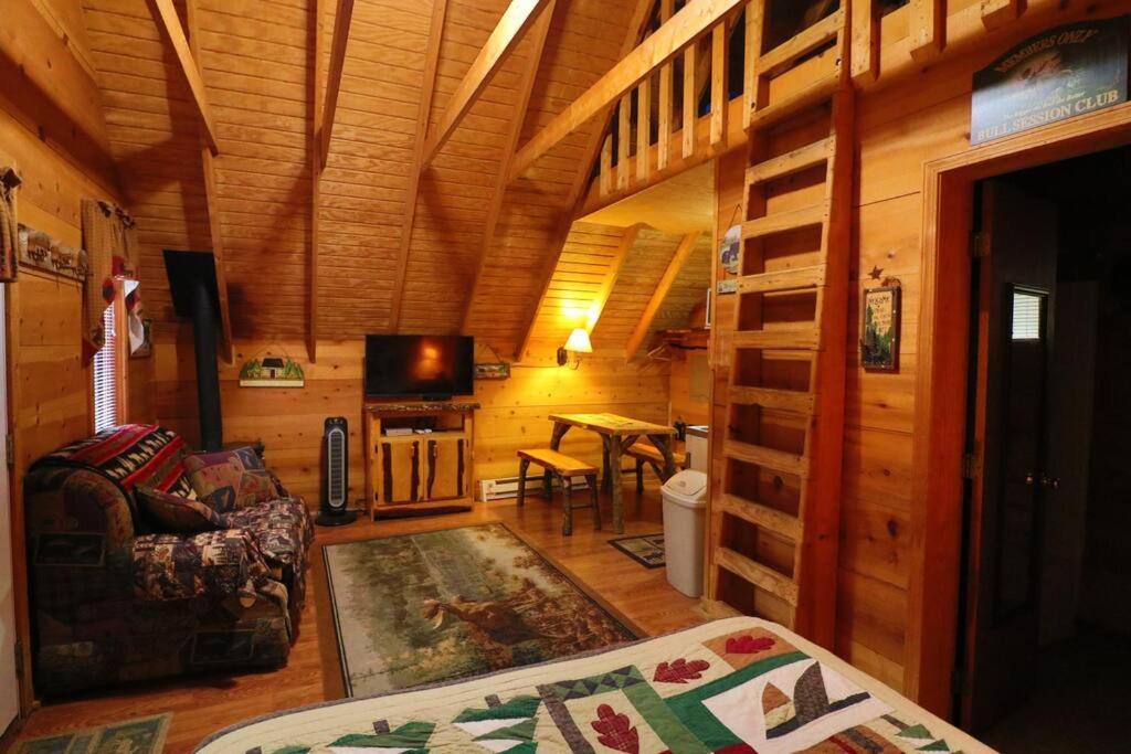 Cute Updated Mountain Cabin Fireplace #3 Хелен Экстерьер фото